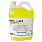 ds-carpet-5L