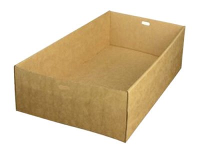 Catering_Tray_xL_450x310x80